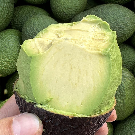 云南孟连【逐南味】哈斯牛油果 肉质细密绵软 入口即化 醇香味浓 商品图5