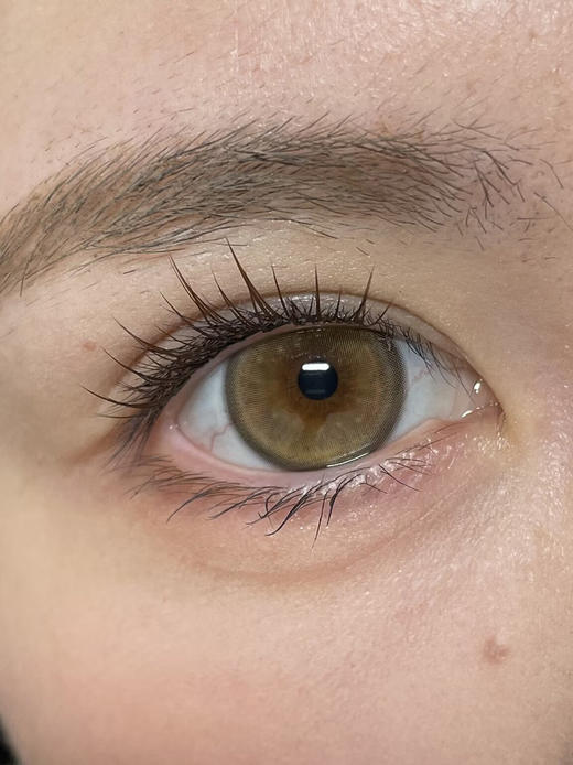 Loveiikira 月桂树下 半年抛 两片 14.5mm 参考着色 13.9mm 基弧 8.5 含水 40% 新锐国货 商品图2