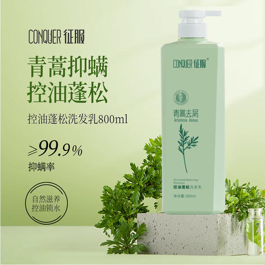 征服800ml 新升级 征服青蒿除螨生姜养护洗发水，滋养头皮，强韧发根润肤沐浴露，护发素改善脆弱发质、受损发丝 青蒿固发柔顺洗发系列 商品图0