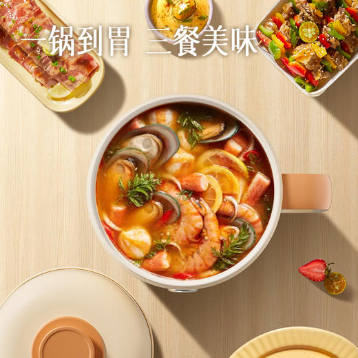 小画仙电煮锅LDZG-0106 商品图2
