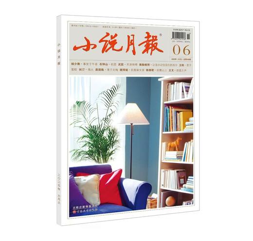 《小说月报》| 6-38 | 月刊 | 2026年全年订阅（不可退订） 商品图4