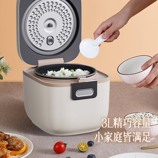 小画仙电饭煲LDFB-3068E 商品图2
