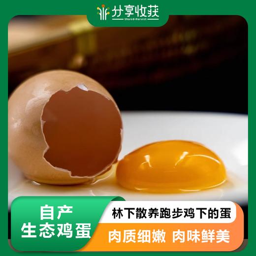 自产生态鸡蛋（小笨蛋） |  林下散养跑步鸡下的蛋 ｜石嫣农场* Eggs 商品图0