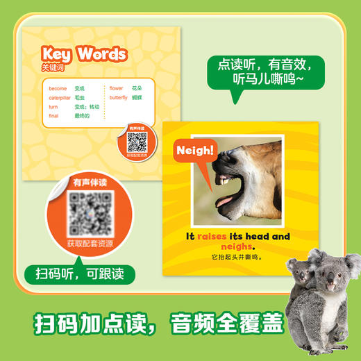猜猜他是谁（双语版） 商品图4