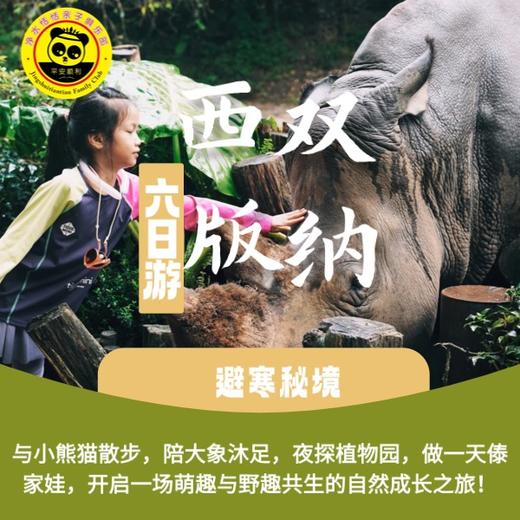 【2026寒假-恬恬自组-西双版纳】6天5晚 避寒秘境 | 与小熊猫散步，给大象沐浴，夜探植物园，做一天傣家娃，开启一场萌趣与野趣共生的自然成长之旅！」​ 商品图0