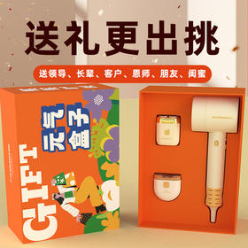 和正元气盒子 HZ-BOX-7（1个吹风机+1个电动指甲剪+1个电动剃须刀）