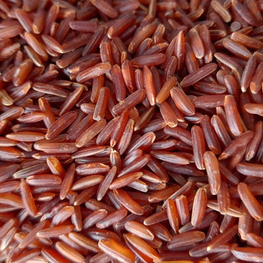 有机杂粮红米389g口感软糯东北杂粮满额包邮 商品图3