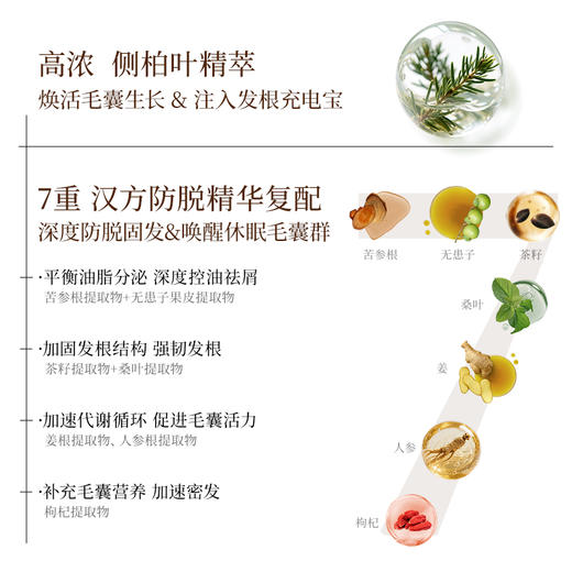 【特证防脱】长发小寨淘米水洗发水固发防脱丰盈蓬松滋养养护 商品图6