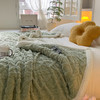 双层加厚风 塔芙绒加厚毛毯【冬季床品专场】 商品缩略图1