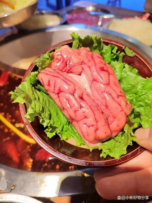 蒲城大红门精加工：鲜猪脑（个） 商品图1