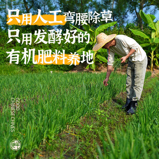 小黄象韭菜鸡蛋虾仁三鲜馅饼 商品图2