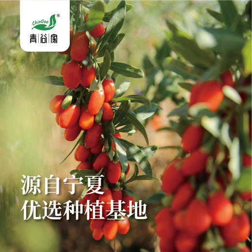 青谷家 红枸杞 200g/罐 商品图1