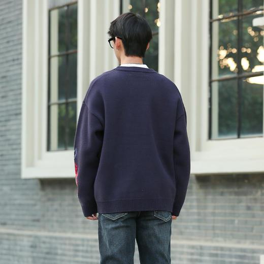 DRONKOO 2025 圆领满幅马蝴蝶植物提花厚毛衣 商品图4