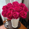 弗洛伊德(玫瑰花) 约10支/束 商品缩略图0