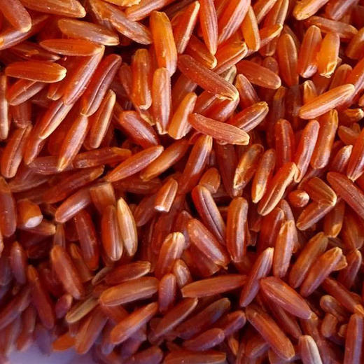 有机杂粮红米389g口感软糯东北杂粮满额包邮 商品图2