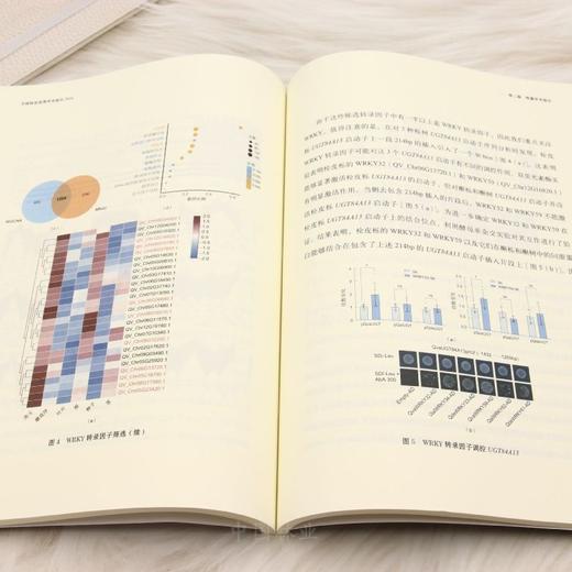中国林业优秀学术报告2024  &3357 商品图1