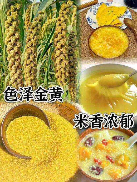 内蒙古敖汉小米15.8元1袋2.8斤，次日到 商品图6