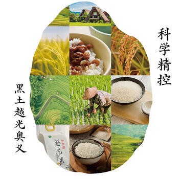 七河源越光米2.5kg 东北大米长粒米 5斤装双层包装 小长粒米 一级粳米 /粮油调味 /米 /长粒香米 商品图3