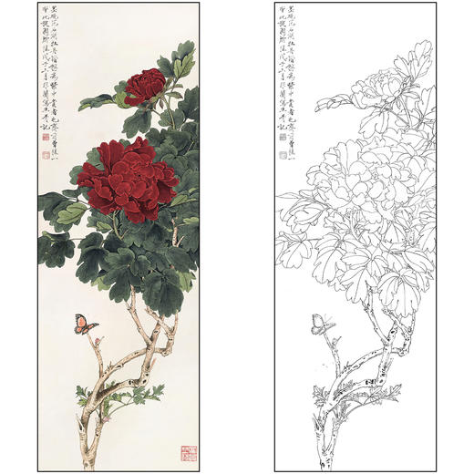 工笔画白描底稿于非闇花鸟《牡丹》临摹勾线高清打印稿FA54 商品图0