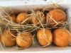 合作产品/生态橘子 商品缩略图2