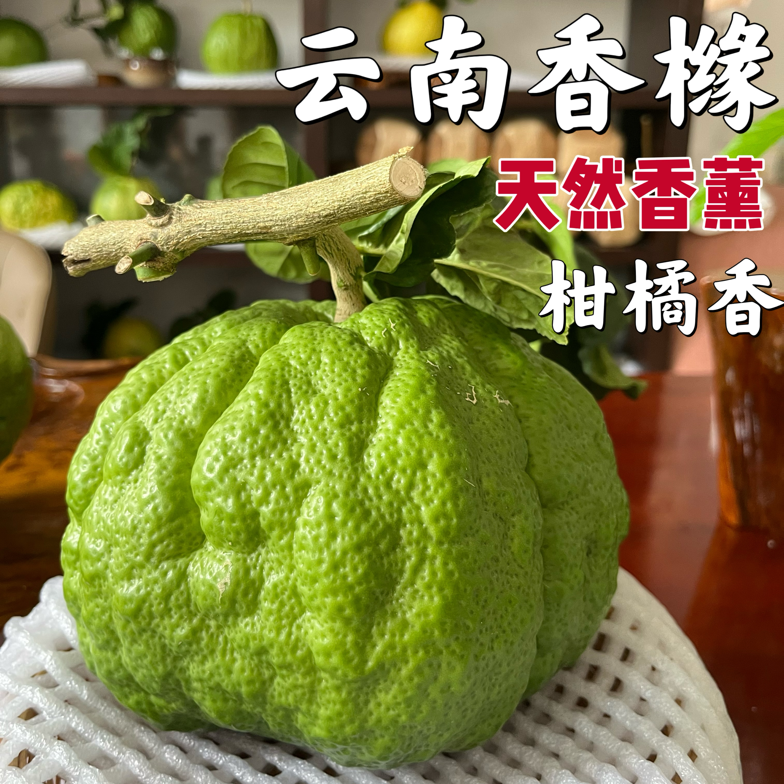 【清新自然❗云南高山香橼果】天然装饰大师「充满生命力的香水」天然香薰❗悠悠柑橘香，新鲜水果当季摘闻香摆件供观赏香怡人L