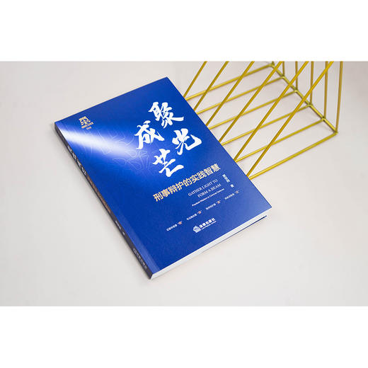 聚光成芒：刑事辩护的实践智慧 窦荣刚著 法律出版社 商品图1