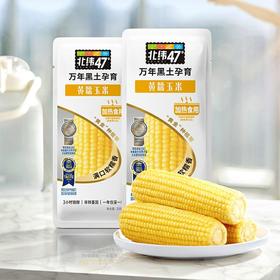 北纬47度黄糯玉米240克＊10-礼盒【MJ】