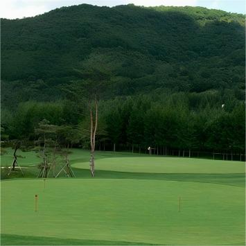 吉林长春·净月潭森林高尔夫俱乐部 Jilin Jingyuetan Forest Golf Club  | 长春高尔夫球场 | 吉林高尔夫球场 | 中国 商品图3