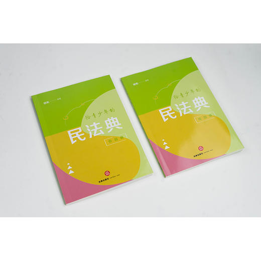 给青少年的民法典（校园编） 杨帆编著 法律出版社 商品图3