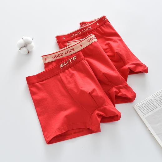 三条装！中大童新年本命年儿童内裤棉男童内裤大童男孩儿童宝宝平角裤高中生青少年 商品图1