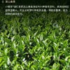 小罐茶大师系列·滇红茶10罐装（金罐）4.0版 商品缩略图5