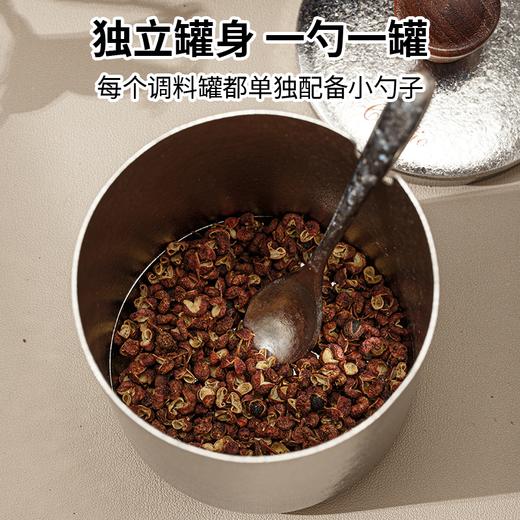 Comtio纯钛调味罐本色 商品图3