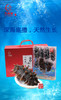 【分销】九颐凰即食海参（Q弹款），选用7年以上辽刺参，个头大、品相好、营养更丰富 商品缩略图7