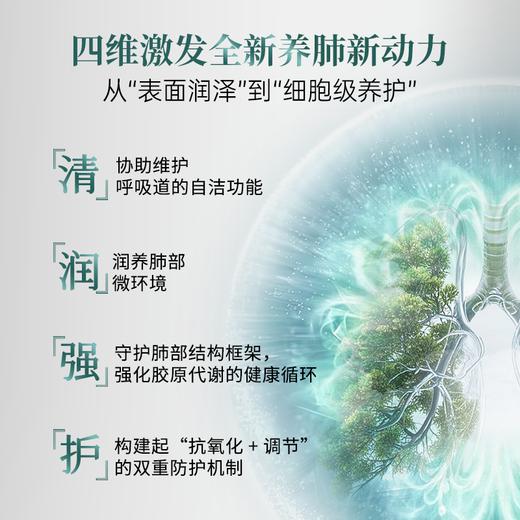 【不参与双12满赠】【新品】Mama Mujer 7合1超分子膜透二氢槲皮素 SophorOx®槲皮素 K杀病毒 肺J节 肺A预防 呼吸畅通 排肺垃圾 肺部净化  60粒/瓶 保税仓发货 MMMJ 商品图4