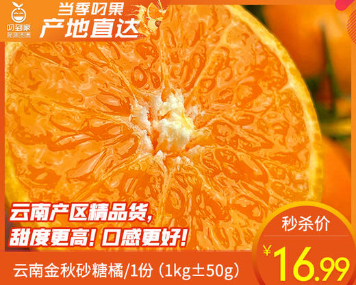 云南金秋砂糖橘/1份（1kg±50g） 商品图0