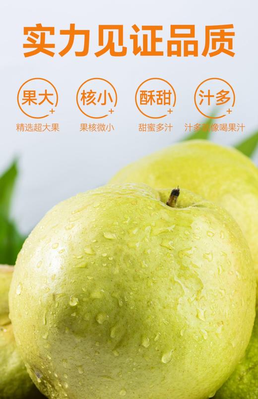 【西湖之声专享】新疆阿克苏玉露香梨 商品图3