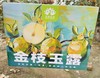 【西湖之声专享】新疆秋月梨5斤大果礼盒装 商品缩略图7