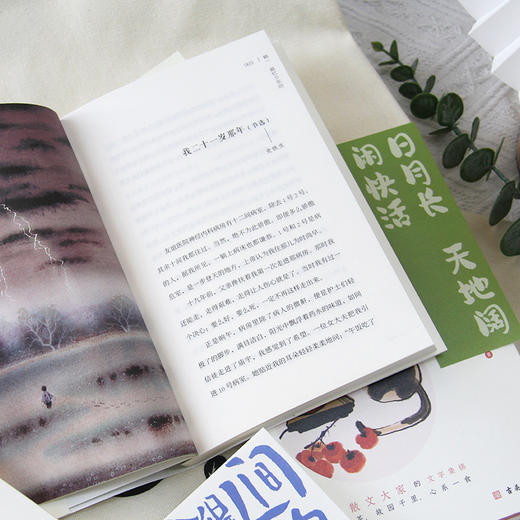 《名家散文5册》这5本书，把“苦日子”嚼出了甜 商品图5