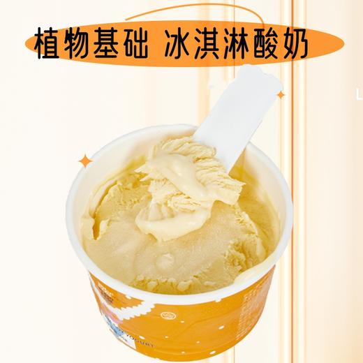 纯素冰淇淋酸奶 纯植物 口感丝滑 香甜可口 商品图0