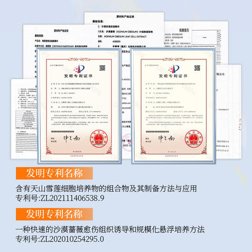 优选丨雪露珍植物细胞面膜+植物细胞培养物精华液 5ML*7瓶/一盒+面膜*2盒 商品图4