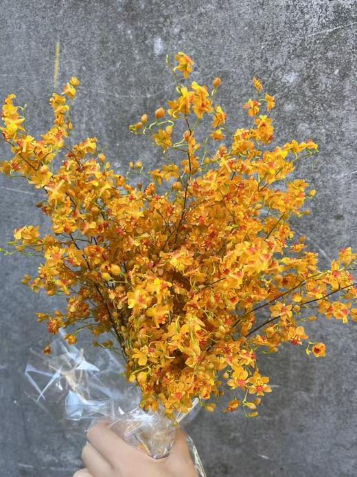 精品鲜花梦香兰鲜切花1扎 商品图7