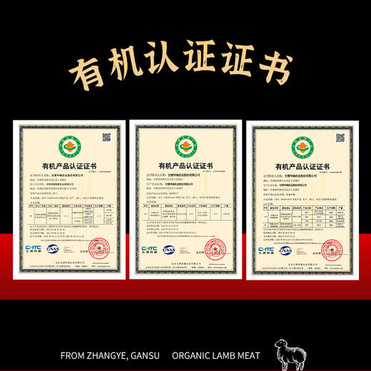 金陇雪有机羔羊原切法式羊排 国产羊肉生鲜食材羊排烧烤食材 1斤装 商品图8