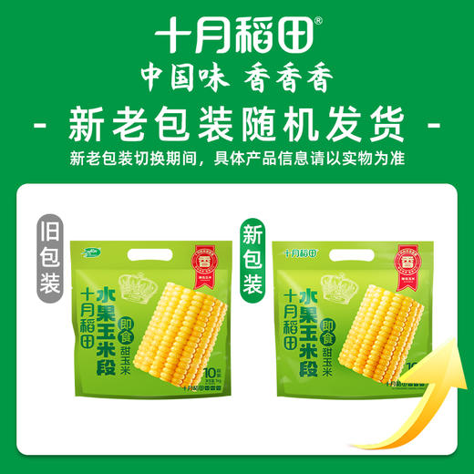 【即食甜玉米】水果玉米段10段装| 新鲜香甜方便快捷1kg 商品图2