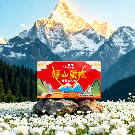 西圣·新疆特色坚果礼盒2000g  精选9种美味 12袋装  送礼首选 商品图3