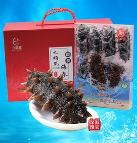 【分销】九颐凰即食海参（Q弹款），选用7年以上辽刺参，个头大、品相好、营养更丰富
