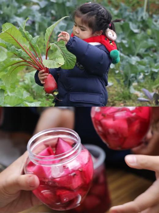 12.20郫都区【成都冬藏会】自制红糖糍粑，拔萝卜制作泡菜，自制手工年味香肠 商品图1