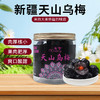西圣·新疆天山乌梅288g  颗粒均匀饱满 酸甜更均衡 商品缩略图5