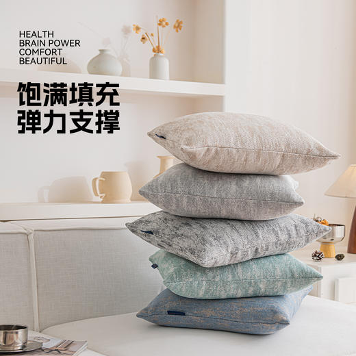 罗莱软装 潘德拉抱枕 45*45cm 商品图5