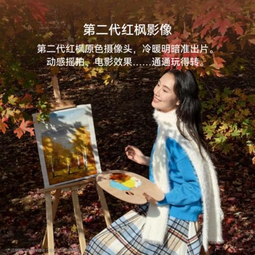 HUAWEI Mate 80【新品】第二代红枫影像 鸿蒙AI 超可靠玄武架构 华为直屏鸿蒙智能手机 商品图5