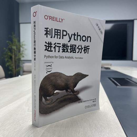 官网 利用Python进行数据分析原书第3版 python基础入门教程python数据分析爬虫程序大数据处理手册计算机程序设计图书籍 商品图2